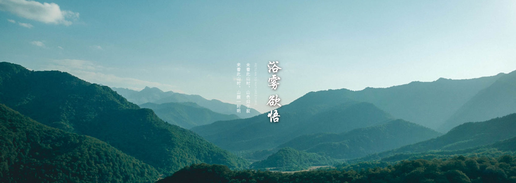 金陽株式会社